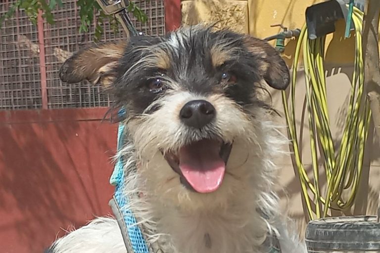 Marley