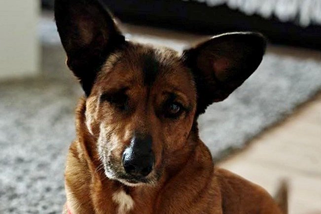 Matilde, 63263 Neu-Isenburg