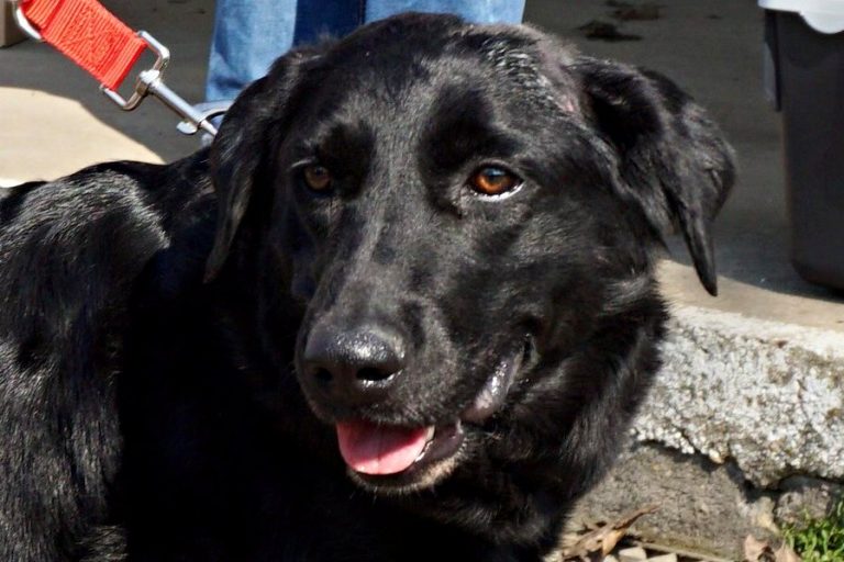 Liliana, 40789 Monheim am Rhein