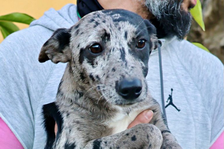 Manchis -reserviert-