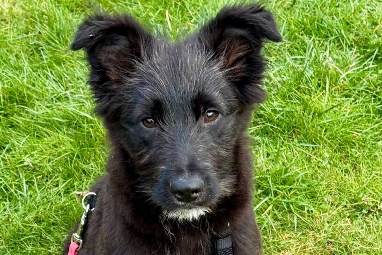 Timon, 65520 Bad Camberg